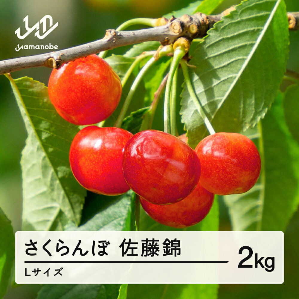 【ふるさと納税】《先行予約》2026年 山形県産 佐藤錦 さくらんぼ Lサイズ ドーンと 2kg ※沖縄・離島への配送不可 ts-snxlx2000