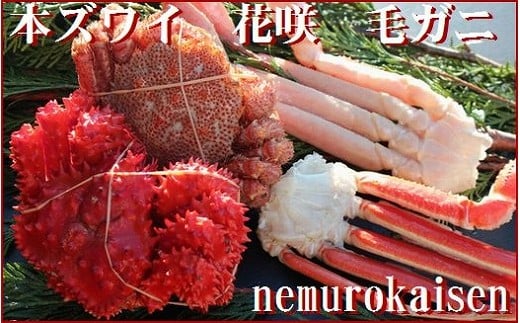 B-57008【12/21まで年内配送】  本ズワイガニ・花咲ガニ・毛ガニの三種のカニセット