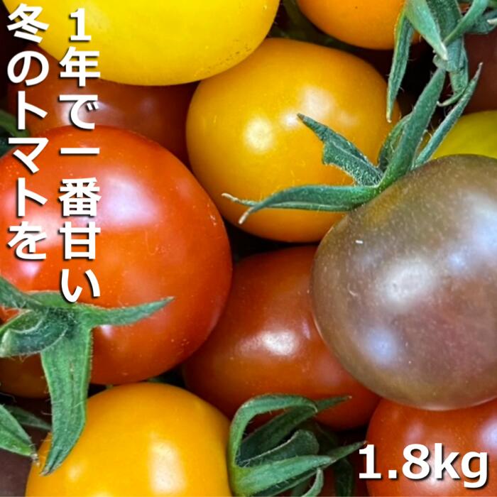 【ふるさと納税】【先行予約】（2026年12月～順次発送予定）鈴鹿山麓トマト「カラフルミニトマト」箱詰め（1.8kg入り）|トマト とまと 新鮮 産地直送 美味しい 栄養素 健康 リコピン アンチエイジング 抗酸化 抗酸化作用 減農薬 安心 安全