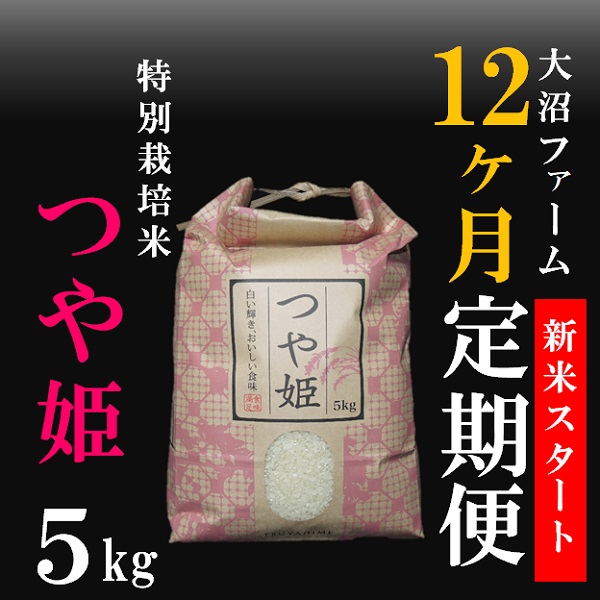 10月スタート【定期便12回】大沼ファームの特別栽培米つや姫5kg [PO2-004(大沼ファーム)] つや姫5kg×12回　￥163,000