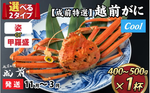 【先行予約】選べる！美味しさ直送【成前特選】 越前がに（400g～500g）×1杯【11月～3月発送】姿  [D-028042_06]