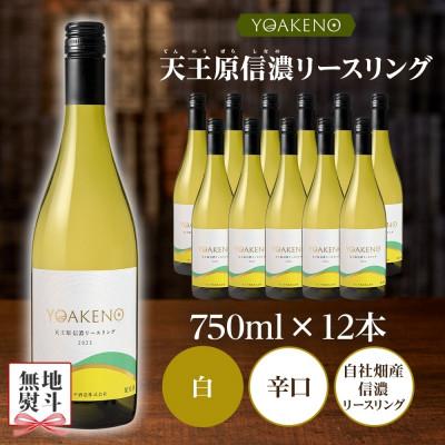ふるさと納税 笛吹市 【のし付き】山梨県 YOAKENO 天王原信濃リースリング 12本 白ワイン モンデ酒造 笛吹市 |  | 03