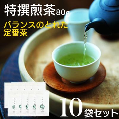 ふるさと納税 新富町 宮崎日本茶専門店　特撰煎茶80g　10本セット