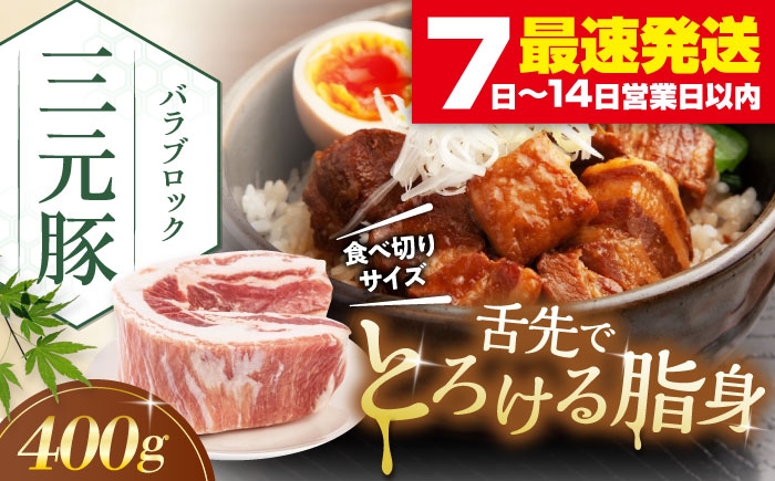 
            【年内発送】 平田牧場 バラ ブロック 400g 《喜茂別町》【平田牧場】  豚肉 ブロック 豚バラブロック 焼肉 国産 北海道 ブロック肉 特産品 ぶた肉 バラ 冷凍  年内発送 [AJAP169] 6000 6000円 6千円
          
