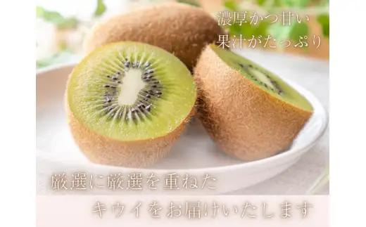 厳選 キウイ0.5kg+250g（傷み補償分）【扁平果】 / 和歌山 フルーツ 果物 くだもの ※2026年11月中旬より2027年4月下旬頃順次発送予定 ※北海道・沖縄・離島配送不可 【ikd505