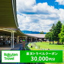 【ふるさと納税】楽天トラベル 軽井沢 長野県軽井沢町の対象施設で使える 楽天トラベルクーポン 寄付額100,000円(クーポン30,000円) 軽井沢 長野 宿泊 宿泊券 ホテル 旅館 旅行 旅行券 観光 トラベル チケット 旅 宿 券