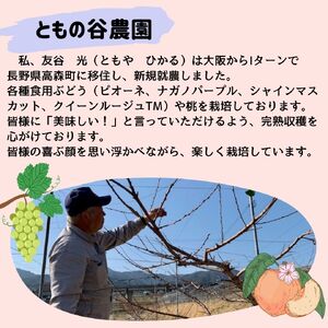 シャインマスカット 訳あり２kg（３～６房）＜9月下旬より発送＞