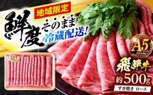 ※冷蔵配送/地域限定※ 飛騨牛 ロース すき焼き用 500g 瑞浪市 / きなぁた瑞浪 和牛 国産 岐阜県産 [AZCI031]