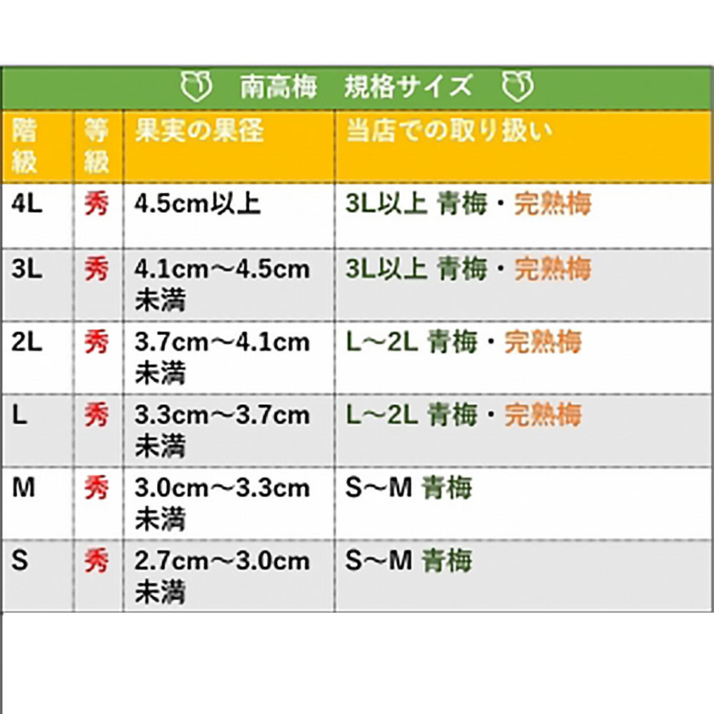 手もぎ 青梅 南高梅 15kg L～2Lサイズ 谷本農園