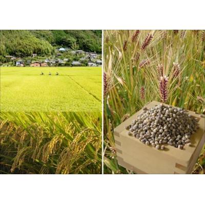 ふるさと納税 内子町 内子からり米使用もち麦ご飯 160g×10パック 計1.6kg |  | 01