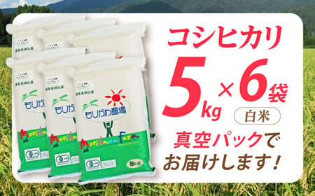 コシヒカリ真空パック30kg[AQBL013]白米白米白米白米白米