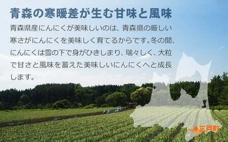 青森県産にんにく使用 ガーリックオイル 140g ３本セット 国産米油