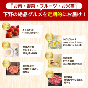 下野市のうまいもん定期便6回 | とちあいか 午後の紅茶ミルクティー 栃木県産牛 赤身切り落とし トロピカーナ100％グレープフルーツ 栃木県産とちぎの星10kg 栃木県産黒毛和牛切り落とし 月ごとに