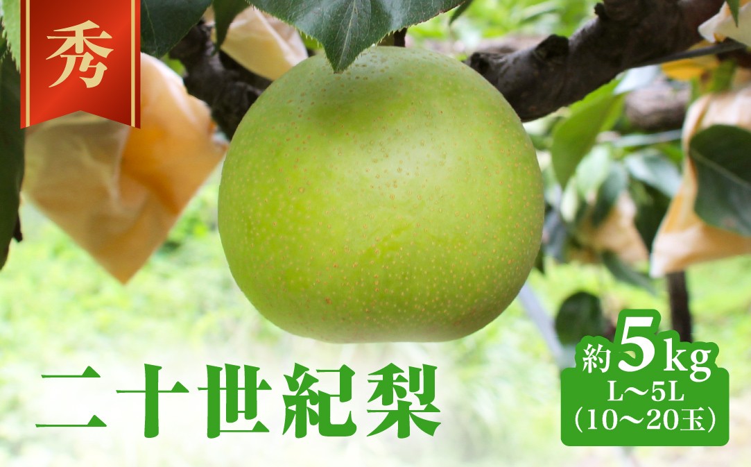 
                  二十世紀梨 秀5㎏前後 L～5L(10～20玉前後) 梨 なし フルーツ 鳥取 高間商店 日野町
                