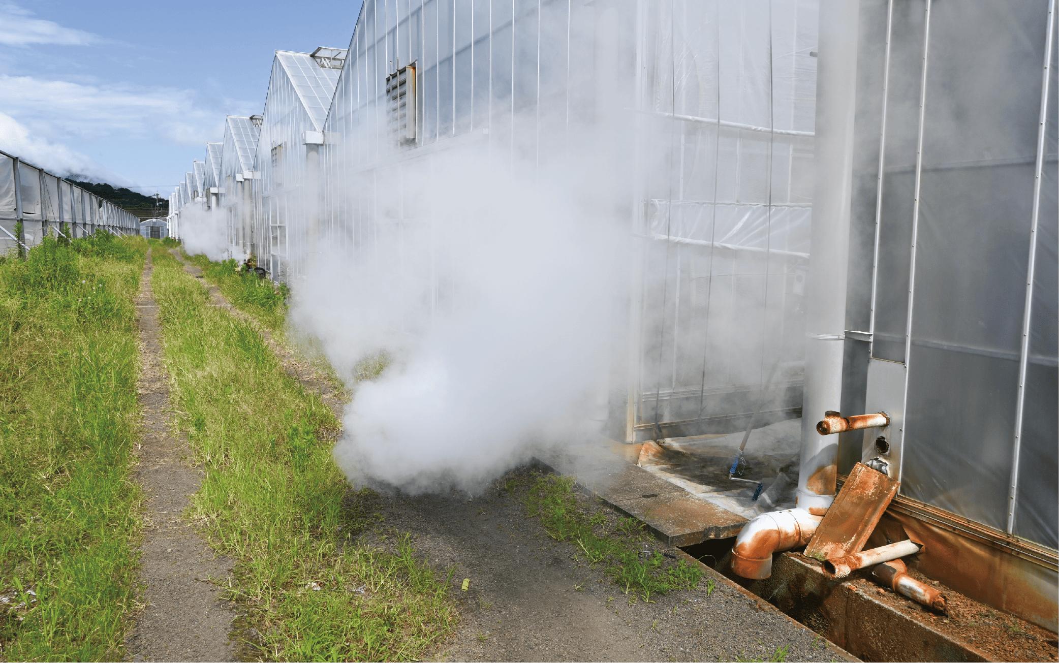 【2026年 発送】＜訳あり＞地下から湧き出る温泉と蒸気熱を利用栽培した温泉完熟マンゴー約1kg(トロピカルファームいぶすき/016-1764) マンゴー フルーツ 果物 くだもの 旬 夏 指宿 いぶ