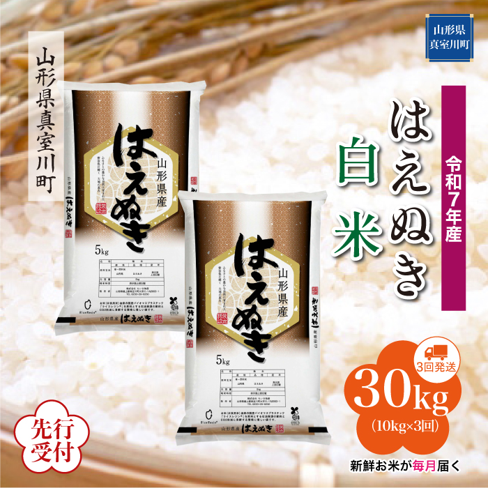 ＜令和7年産米先行受付＞ 真室川町産 はえぬき 【白米】30kg定期便 (10kg×3回)　配送時期指定できます！