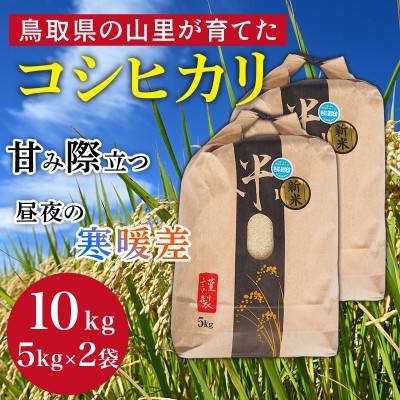 
                  ＜令和8年産＞鳥取県産「コシヒカリ」精米 10kg(5kg×2)【1746430】
                