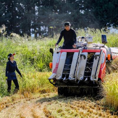 ふるさと納税 津南町 【毎月定期便】津南の特別最高金賞受賞農家が育てた県認証魚沼コシヒカリ5kg(計60kg)全12回 |  | 01