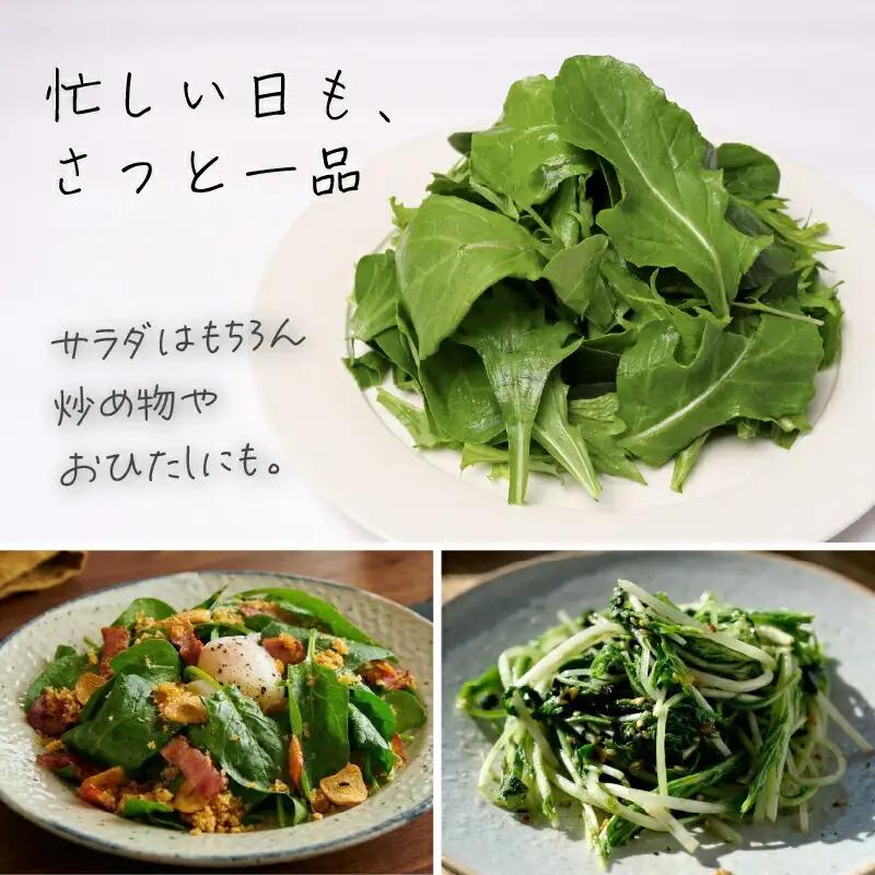 2種セット サラダほうれん草 みずな サラダセット | 水菜 ほうれんそう 水耕 栽培 新鮮 葉物 野菜 ドレッシング 南国市