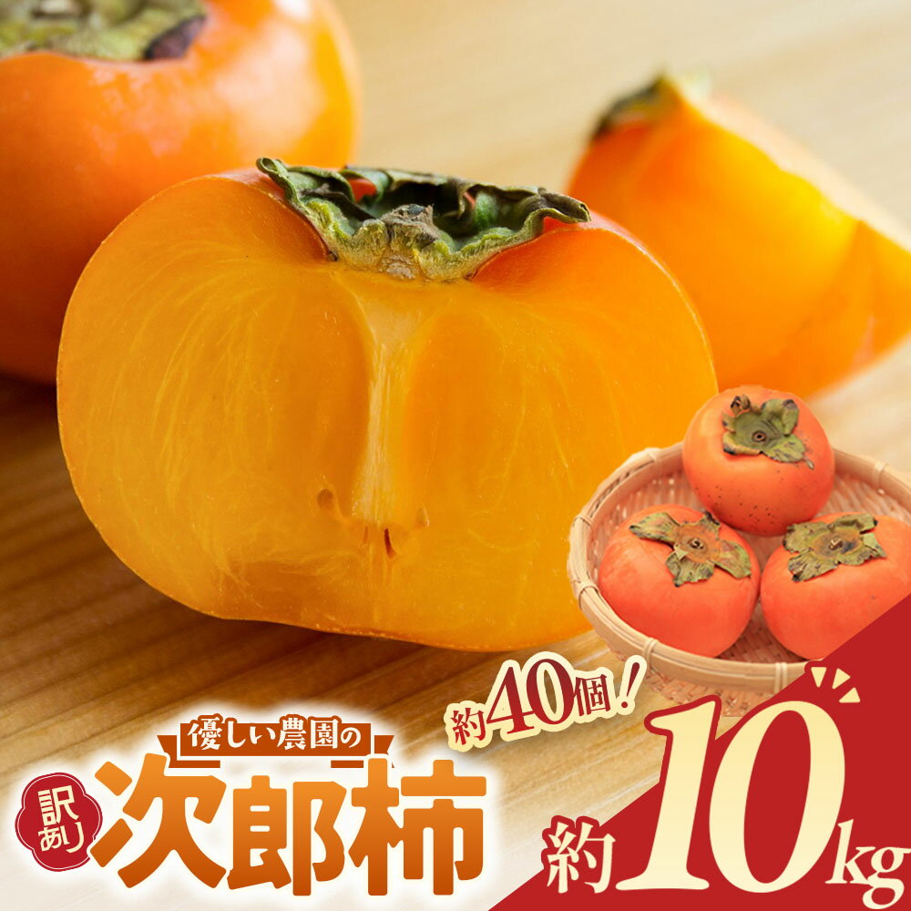 【ふるさと納税】【令和7年産柿/先行予約】優しい農園の訳あり次郎柿 10kg 次郎柿 たねなし 柿 かき フルーツ 家庭用 訳あり 規格外 わけあり 不揃い ふぞろい 種なし 干し柿 先行 先行予約 三重県 多気町 YSN-01