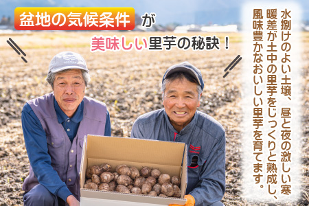 【先行予約】希少！とみた里芋 3kg ねっとりまろやか煮崩れなし！【11月～年内出荷】 
