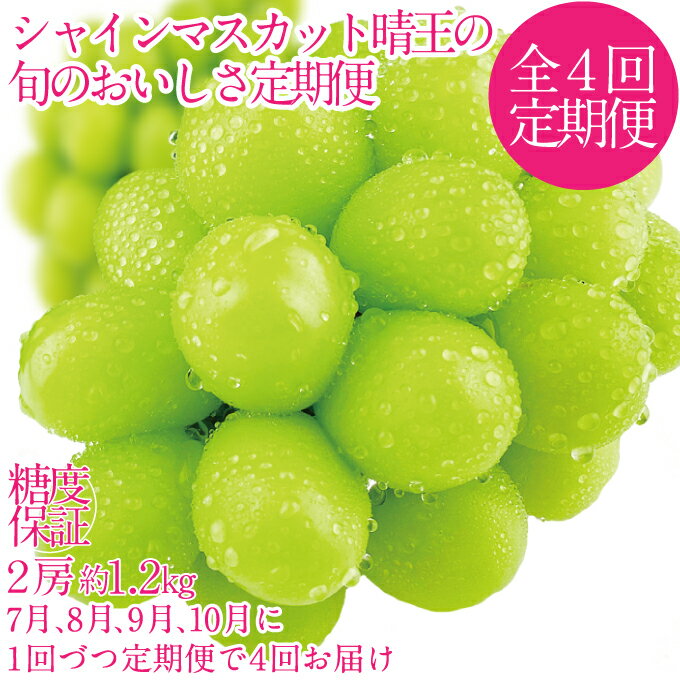 【ふるさと納税】2025年予約受付中【4回定期便】 シャインマスカット 晴王 7月8月9月10月に1回づつ出荷 2房 約1.2kg 人気 岡山県産 種無し 皮ごと食べる みずみずしい フレッシュ 晴れの国 おかやま 果物大国 ハレノフルーツ　お届け：2026年7月中旬～2026年10月下旬
