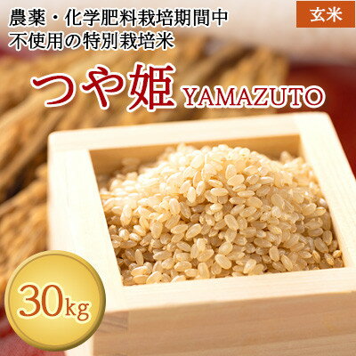 【ふるさと納税】令和7年特別栽培米　農薬化学肥料栽培期間中不使用つや姫YAMAZUTO　玄米30kg【1668049】