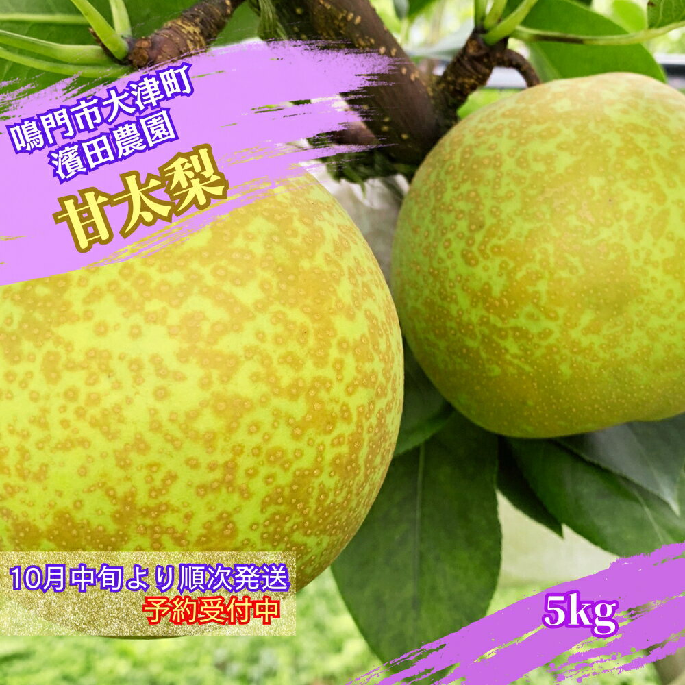 【ふるさと納税】濱田農園 甘太梨 約5kg 【数量限定】【10月中旬より順次発送予約受付中】 徳島県産 感動の甘さ 和梨 豊水 幸水 国産 鳴門