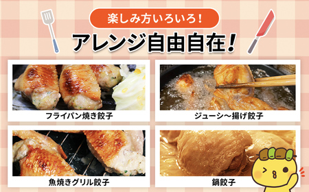 2年連続グルメ大賞受賞 !  手羽先餃子10本セット / 鶏肉専門店「水郷のとりやさん」 / KTRJ023 / 餃子 ぎょうざ てばさき てばさきぎょうざ てばぎょうざ てば 手羽 肉 お肉 手羽先