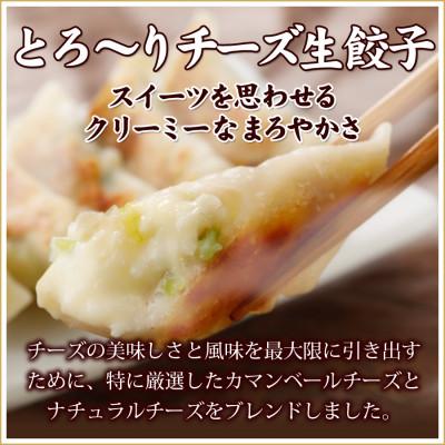 ふるさと納税 塩竈市 本格生餃子3種類詰め合わせ60個(12人前)　 |  | 03