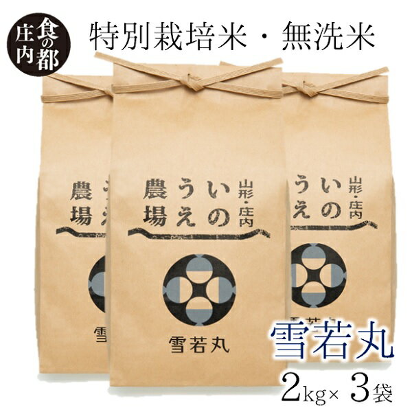【ふるさと納税】食の都庄内　井上農場の【無洗米（精米）】特別栽培米雪若丸6kg（産直出前便）