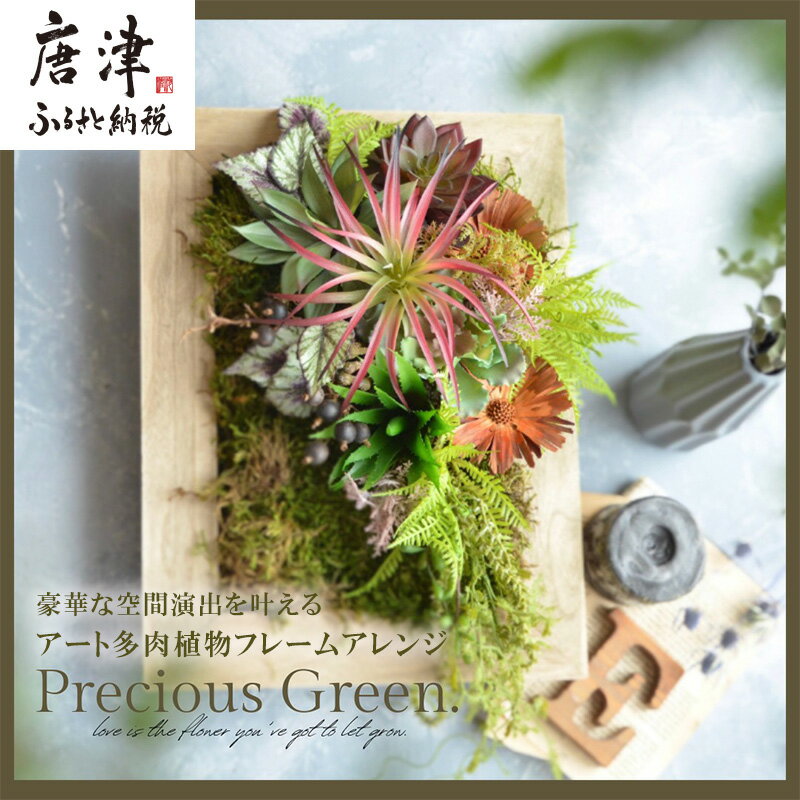 【ふるさと納税】豪華な空間演出を叶える アート多肉植物フレームアレンジ【プレシャス・グリーン】壁掛 壁飾り インテリア おしゃれ アートフレーム「2025年 令和7年」