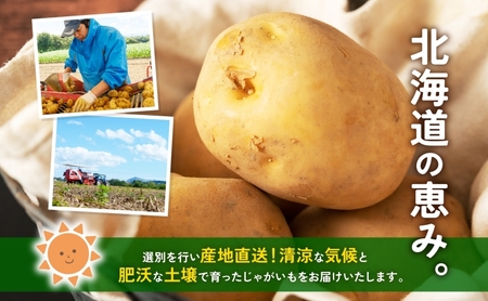 北海道産 青野農園 じゃがいも とうや Lサイズ 約10kg 2026年10月初旬～12月下旬頃お届け 先行予約 北海道 ジャガイモ トウヤ 馬鈴薯 ポテト 芋 いも イモ 黄色 旬 野菜 農作物 産