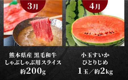 先行予約6回定期便 合志市ひとりじめ定期便 馬刺し果物AYZZ008