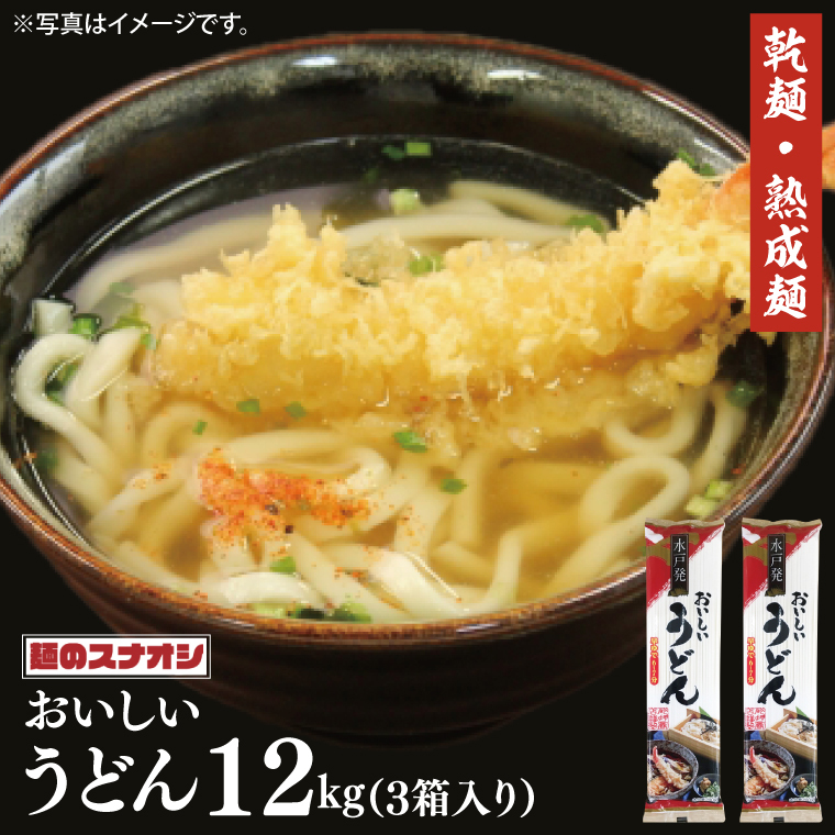 【麺のスナオシ】水戸発　おいしいうどん３箱　計12kg（200ｇ×60袋）（乾麺）【饂飩 麺 長期保存 保存食 防災 人気 大容量 水戸市 茨城県】（BY-16）