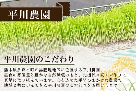 令和7年産新米【白米/玄米選べる 10kg】  くまさんの輝き 10kg (令和7年10月中旬より順次発送) 新米 熊本県 多良木町 お米 10キロ 米 白米 精米 玄米 10kg
