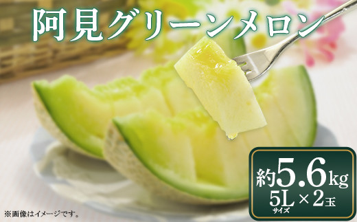 
            【 6月下旬発送予定】【数量限定】メロン 5L 2玉 5.6kg 2.8㎏/玉以上 化粧箱入り 贈答 自分用 阿見グリーンメロン 数量 限定 希少 品種（04-28）
          