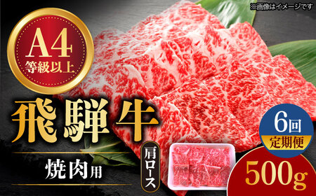 【6回定期便】 飛騨牛 焼肉用 ロース・肩ロース 500g A4等級以上 [TAZ032]肩ロース 肩ロース 肩ロース 肩ロース 肩ロース 