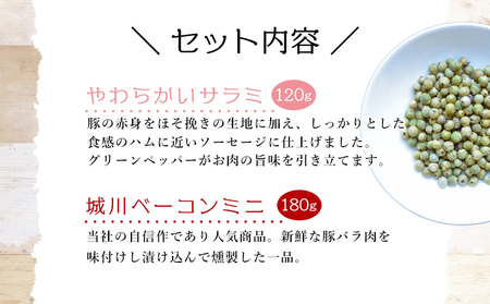 ＜城川自然牧場 いろいろな味セット 5種＞ サラミ ベーコン 粗挽きウインナー ペッパーウインナー 豚肉 牛肉 国産 加工品 詰め合わせ 贈答用 城川ファクトリー 愛媛県 西予市【冷蔵】『1か月以内に
