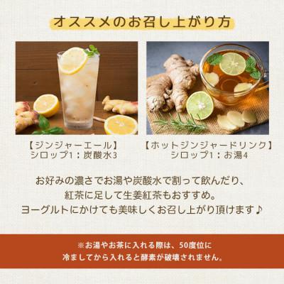 ふるさと納税 枕崎市 【父の日】発酵ジンジャーシロップ&塩麹　A3-12F |  | 01