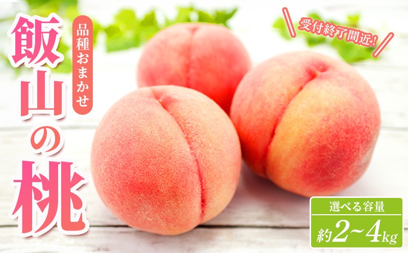 
            【先行予約】桃 約 2kg 4kg もも モモ 白桃 ピーチ 果物 くだもの フルーツ 果実 飯山の桃 旬 新鮮 箱入り 冷蔵 贈答 ギフト プレゼント お中元 香川県丸亀市
          