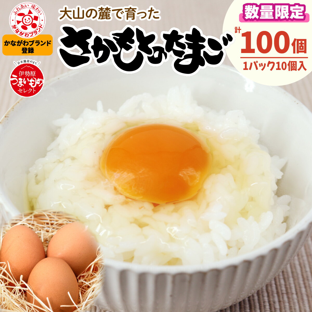 【ふるさと納税】[数量限定] 坂本養鶏 大山の麓で育ったさかもとのたまご 100個｜赤玉卵 玉子 鶏卵 産直 卵かけご飯 たまご タマゴ [0091]