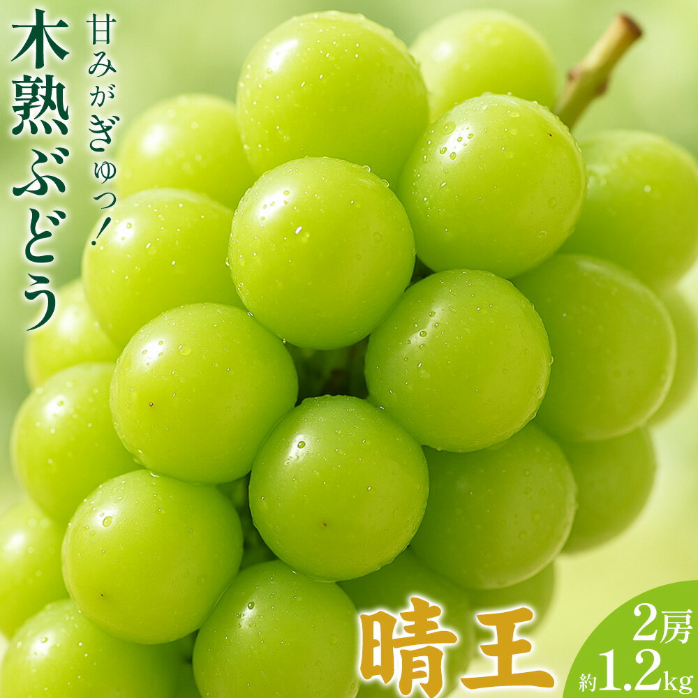 【ふるさと納税】木熟ぶどう 晴王 2房 約1.2kg ハレノフルーツ《9月上旬-10月末頃出荷》岡山県 浅口市 シャインマスカット フルーツ 果物 デザート【配送不可地域あり】