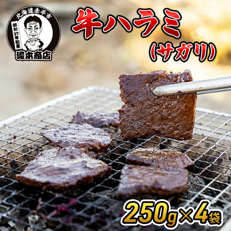 【ふるさと納税】たきもとの牛ハラミ（サガリ）250g×4袋　焼肉 バーベキュー BBQ 牛 牛肉 ハラミ サガリ 冷凍 アウトドア タレ 味付け 北海道 ふるさと納税