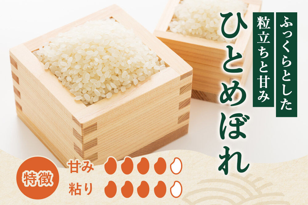 《定期便3ヶ月》令和7年産【白米】特別栽培米 ひとめぼれ 10kg（5kg×2袋）秋田県産 [ひとめぼれ 米 お米 白米 精米 特別栽培米 ブランド米 食卓 秋田県産 秋田県 由利本荘市]