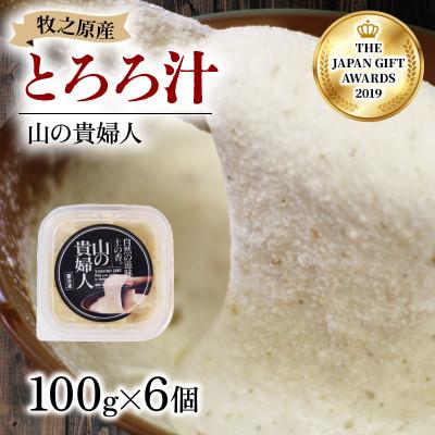 ふるさと納税 牧之原市 【ZIP!で紹介されました!!】 とろろ 山の貴婦人 牧之原産自然薯使用 100g×6パック