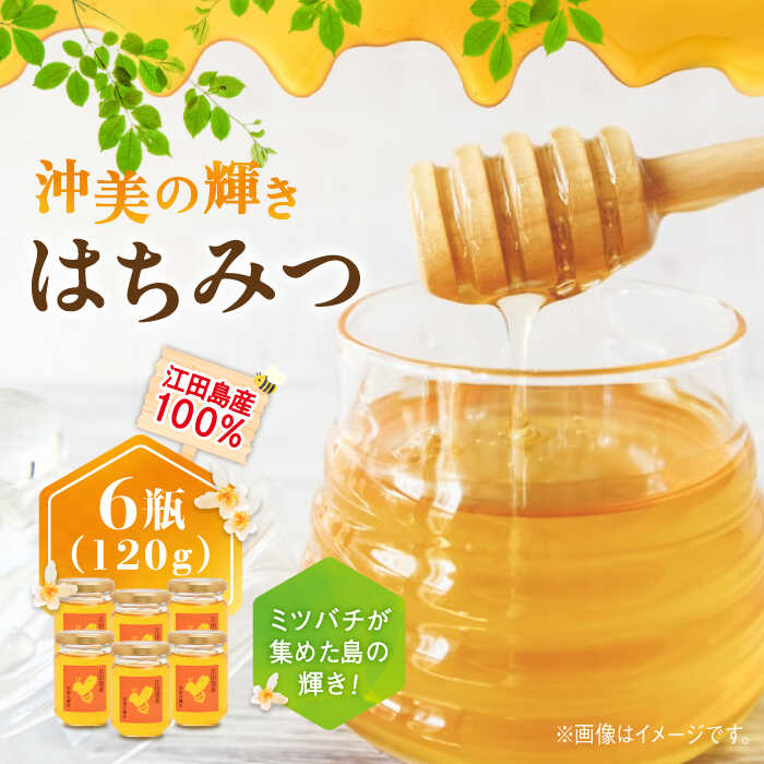 【ふるさと納税】まじりっけなし！江田島産100％!はちみつ『沖美の輝き』120g×6本セット ハチミツ ハニー 蜂蜜 国産 広島県 江田島市/はつはな果蜂園[XCD003]