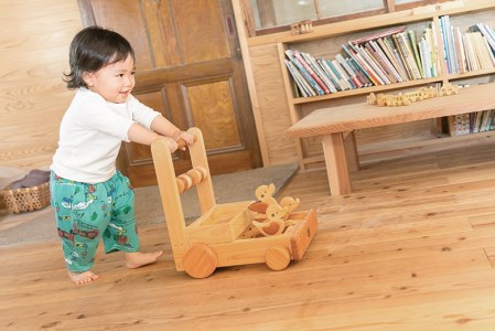 おもちゃ ピヨピヨておしぐるま 名入れ可能｜木のおもちゃ