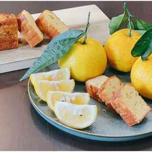 淡路島なるとオレンジバターケーキ 2本セット 山本満月堂 洋菓子 ケーキ おやつ お菓子 オレンジ 兵庫県 洲本市 淡路島