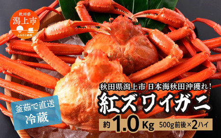 ズワイガニ 冷蔵 2匹 約 1kg 紅ズワイガニ 【安田水産】